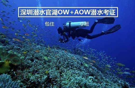 植物大战僵尸：花园战争